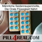 Männliche Seidenraupenmotte, Die Orale Flüssigkeit Nährt new08